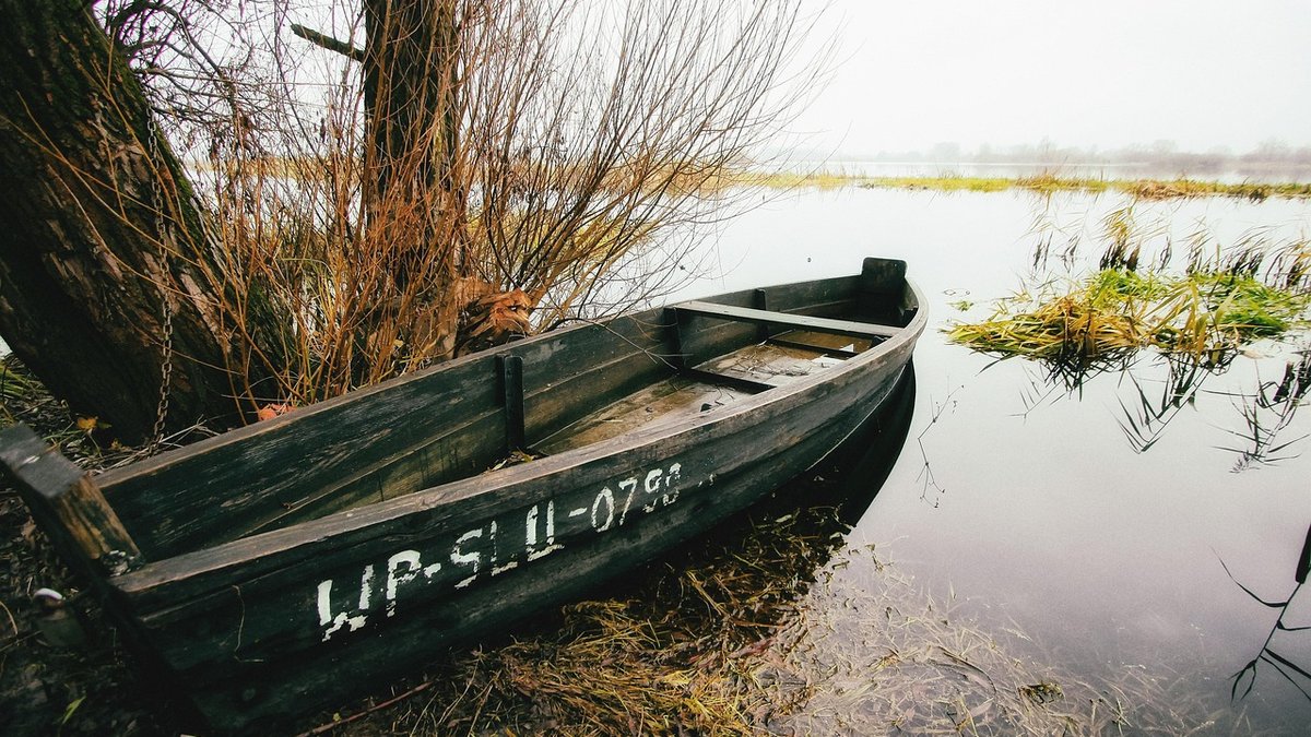 A Beginner's Guide to Reading Tide Tables