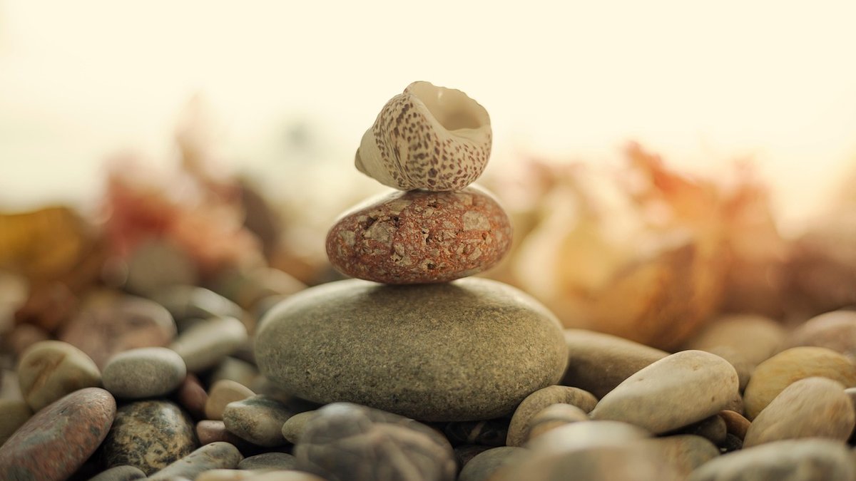 Coastal Foraging: What to Pick and Avoid