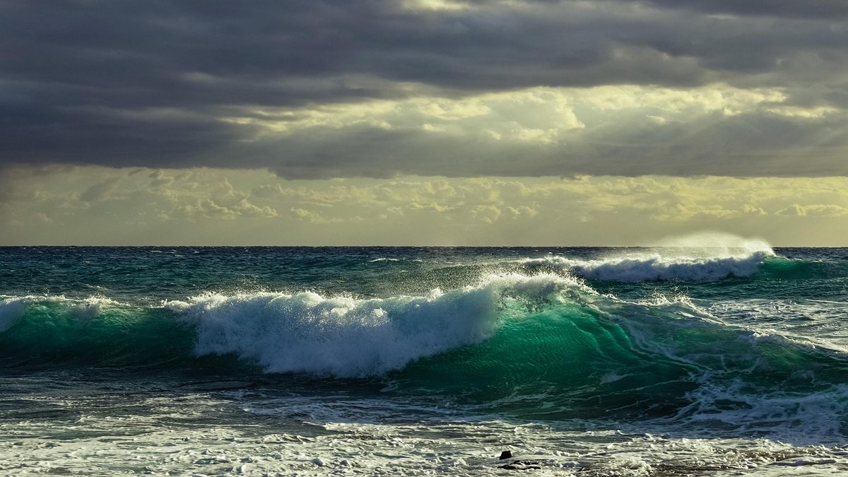Sea Swimming Etiquette in Busy Coastal Coves